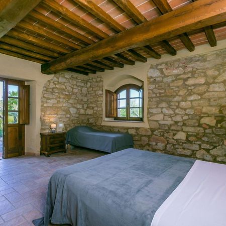 Appartamento Locazione Turistica Olea Guardistallo Esterno foto