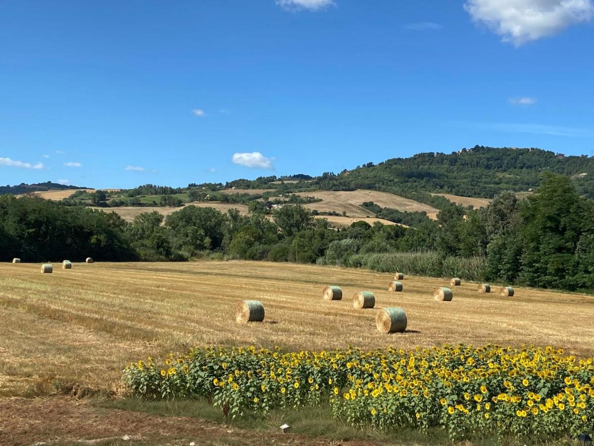 Appartamento Locazione Turistica Olea Guardistallo Esterno foto