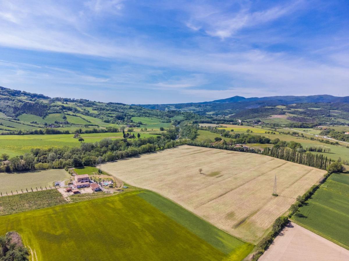 Appartamento Locazione Turistica Olea Guardistallo Esterno foto